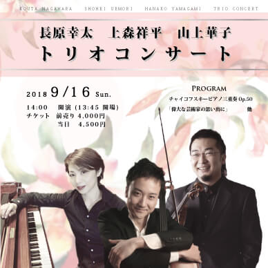 Trio Concert